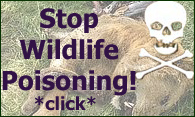 Click to learn more and help